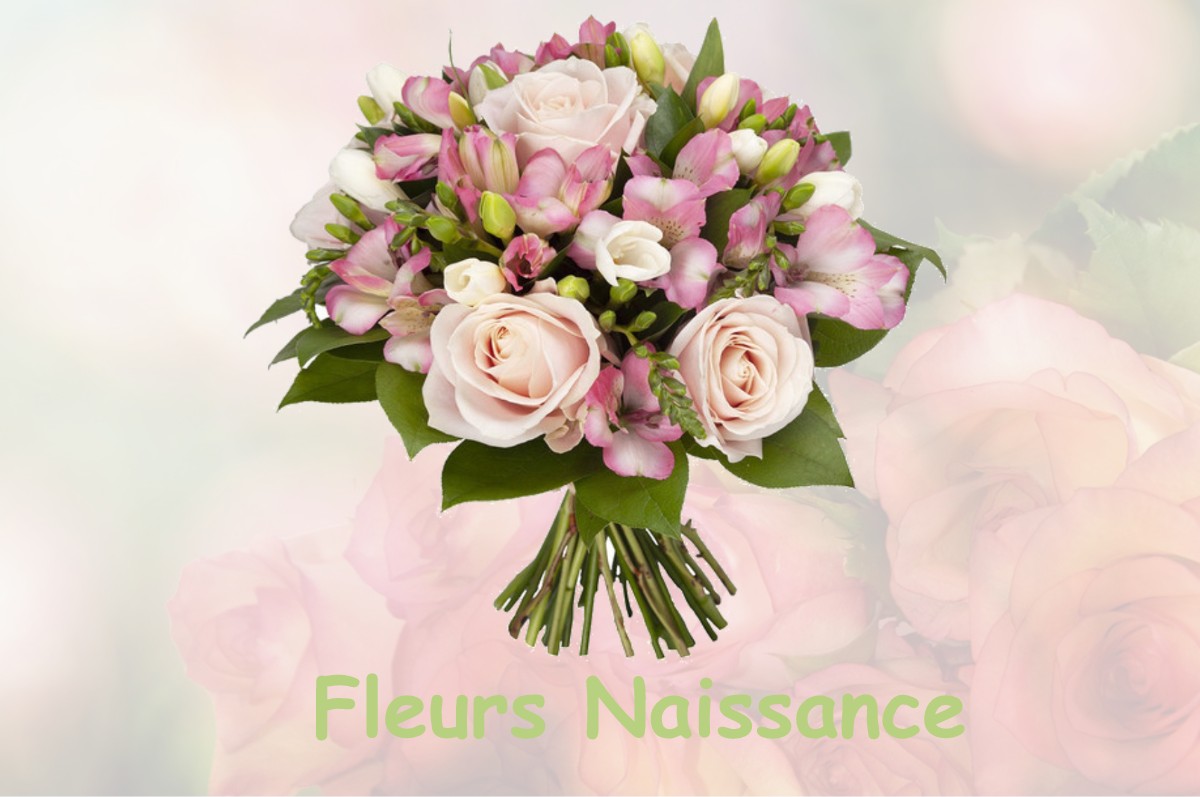 fleurs naissance SAINT-FELIX-DE-FONCAUDE