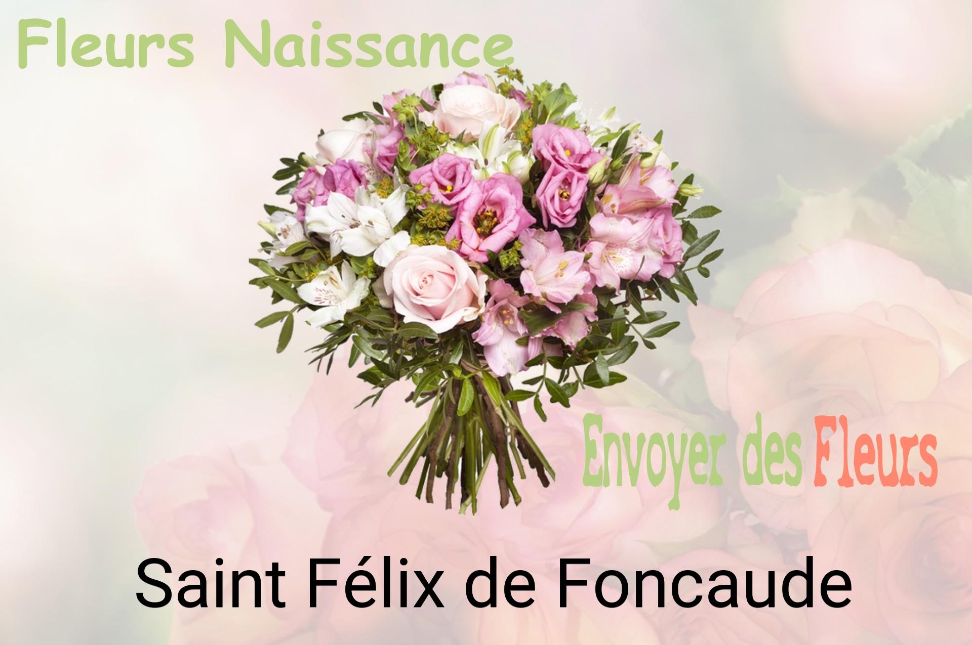 Bouquet de fleurs de naissance livré à Saint-Félix-de-Foncaude